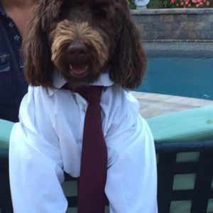 Meet your Posher, Gina